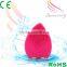 2016 new product portable facial nerve stimulator Electric facial cleaner brush