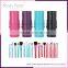 High quality 12 pcs rose gold makeup brush for girls