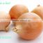 Shandong origin fresh onions for sale