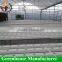 Desert and semi-arid greenhouse for tomato lettuce strawberry