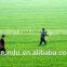 urea