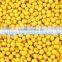 Factory price corn cold oil press machine for export / oil press machine