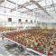 Prefabricated Greenhouse