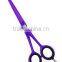 Professional Hairdressing Scissors
