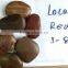 wholesale garden pebbles for sale in bulk