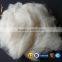 Dehaired Goat Wool Pure Combed Cashmere Yarn Fiber