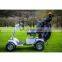 Brand new two seaters electric golf cart, mini electric club cart, utility electric car with CE certificate | AX-A4