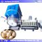 commercial onion washing machine/carrot cleaning machine/cassava washer cleaner for commercial use