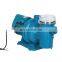 1HP Pump Above Ground Swimming Pool Filter 220v Electric Swimming Pool Filter Pump