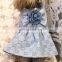 Luxury pet clothes Dog Denim skirt Pet couple's clothes popular logo