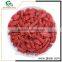 china wholesale custom goji berry price