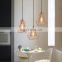 Living Room Ceiling Light Simgle Pendant Led Light Kitchen Light Fixtures Chandelier