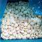 good quality Chinese fresh frozen garlic with reliable price
