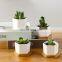 Decorative White Ceramic Square Succulent Cactus Planter Pot with Wooden Tray