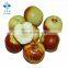 Taste Sweet IQF Frozen Winter Jujube For Hot Sale