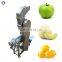Stainless steel tomato paste processing machine mango pulper fruit pulp machine