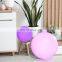 Rechargeable Wireless Waterproof control remote LED Battery Furniture lawn ball lights LED solar ball light Holiday Lighting