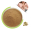 Factory Supply Natural Pumpkin Seed Extract 25% Fatty Acid Powder