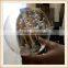 shenzhen lighting technology co.ltd e27 filament led bulb                        
                                                Quality Choice