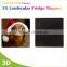 Funny design animal picture printed cat fridge magnets