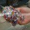 Best Seller Waste Plastic PET Bottle Crusher, Small Plastic Bottle Crusher                        
                                                Quality Choice