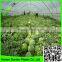 anti fog film for greenhouse watermelon/uv protection plastic cover for tomato planting greenhouse