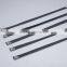 Offer Stainless Steel Lock Ball Ties/SS CABLE TIES (material:304-201-316 ) 12*850