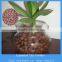 4-20mm expanded clay ceramic ball for garden decoration