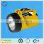 Portable explosion proof electric light