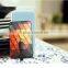 2016 wholesale newest power bank in one in power banks