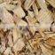 Eucalyptus wood chips Viet Nam