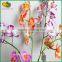 China Wholesale PU Orchid Flower for Wedding Decoration