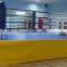 Sports Equipment international ring boxing