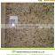 Various Granis Giallo Granite Colors For Building Material