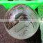 natural rock polished layered green phantom quartz crystal balls