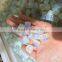 Small Sized Cube Opal Stone With Rainbow Color