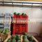 Pallet bin plastic solid or vented pallet box for sale