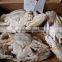Whole frozen blue swimming crab