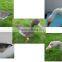 wholesale goose decoys,XPE foam goose decoys, 3D animal hunting decoys