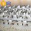 Excellent abrasion resistence quality meat saw blade