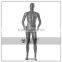 muscle male mannequin display