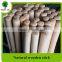 Eucalyptus Natural Wooden Handle fro Grass Broom