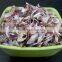 QUALITY DRY BEST RATE ONION FLAKES RED