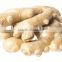 China Market Prices for Ginger