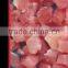 FX-300 Beautiful Cutting Effect Frozen Meat Cube Dicer Dicing Machine