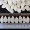 snow white pumpkin seeds in bulk for sale-Inner Mongolia
