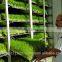 STAR GF300 Hydroponic Fodder Machine / Green Fodder Machine / Barley Fodder Machine