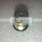 BOSCH Pressure relief valve 1110010028 for 3974093