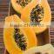 Papaya fruit Microwave vacuum dryer