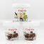 High quality ice cream containers, upmarket ice cream packaging design, reusable ice cream containers with lid